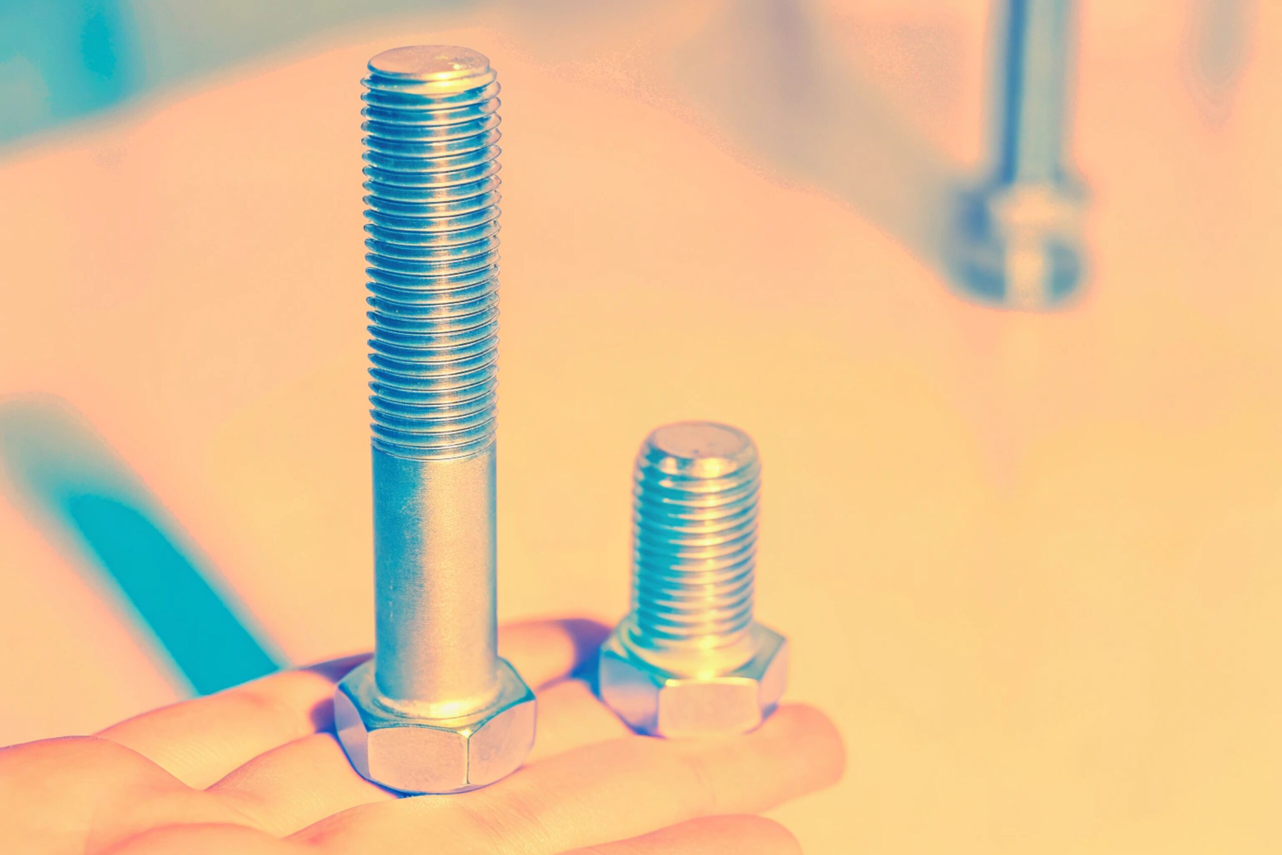 Track Shoe Assembly Bolts